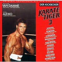 Karate Tiger 3 - Der Kickboxer